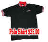 GT Polo-Final copy.jpg (100392 bytes)